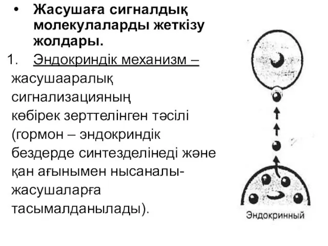 Жасушаға сигналдық молекулаларды жеткізу жолдары. Эндокриндік механизм – жасушааралық сигнализацияның көбірек зерттелінген тәсілі