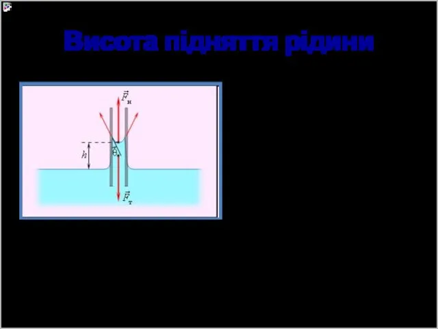 Висота підняття рідини Висоту h підняття (чи опускання) рідини в