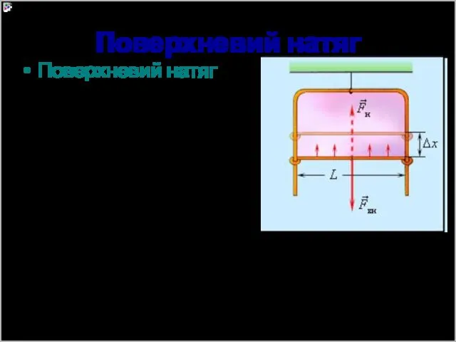 Поверхневий натяг Поверхневий натяг дорівнює відношенню сили поверхневого натягу F,