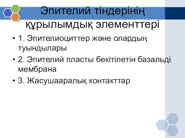 Эпителий тіндерінің құрылымдық элементтері 1. Эпителиоциттер және олардың туындылары 2.