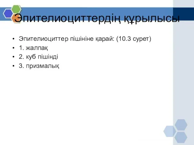 Эпителиоциттердің құрылысы Эпителиоциттер пішініне қарай: (10.3 сурет) 1. жалпақ 2. куб пішінді 3. призмалық