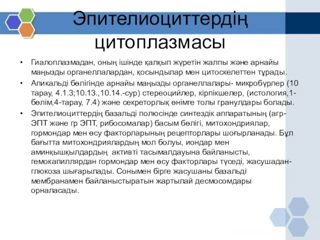 Эпителиоциттердің цитоплазмасы Гиалоплазмадан, оның ішінде қалқып жүретін жалпы және арнайы