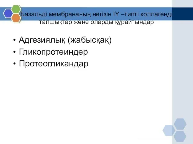 Базальді мембрананың негізін IY –типті коллагенді талшықтар және оларды құрайтындар Адгезиялық (жабысқақ) Гликопротеиндер Протеогликандар