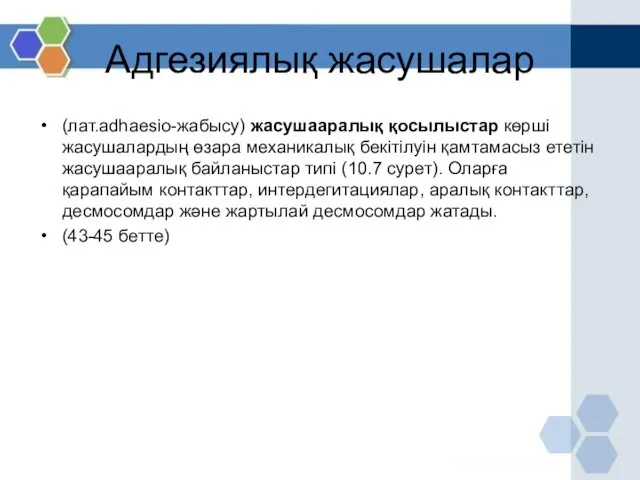 Адгезиялық жасушалар (лат.adhaesio-жабысу) жасушааралық қосылыстар көрші жасушалардың өзара механикалық бекітілуін