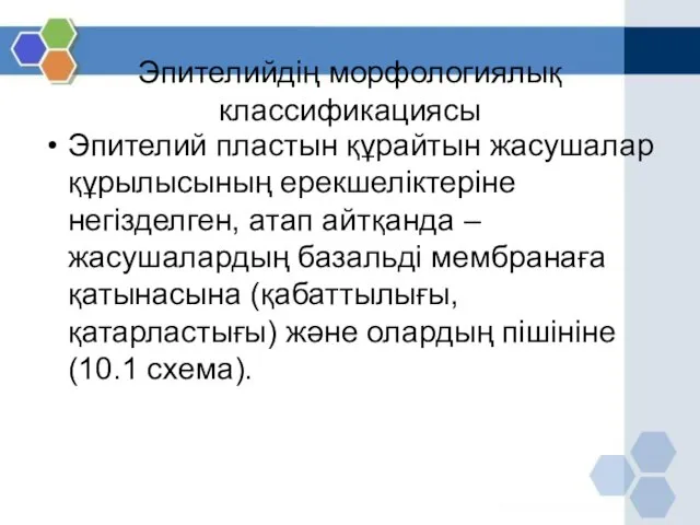 Эпителийдің морфологиялық классификациясы Эпителий пластын құрайтын жасушалар құрылысының ерекшеліктеріне негізделген,