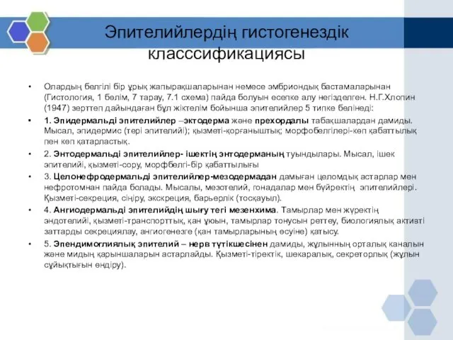 Эпителийлердің гистогенездік класссификациясы Олардың белгілі бір ұрық жапырақшаларынан немесе эмбриондық