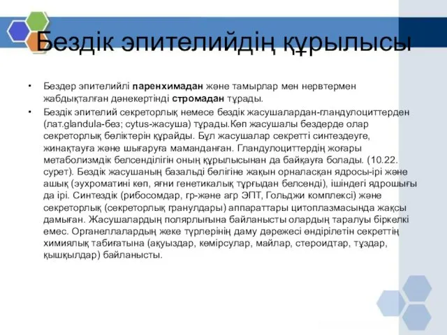 Бездік эпителийдің құрылысы Бездер эпителийлі паренхимадан және тамырлар мен нервтермен