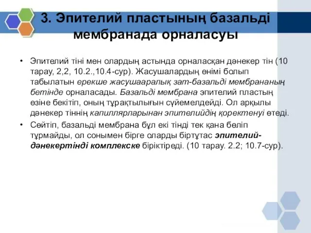 3. Эпителий пластының базальді мембранада орналасуы Эпителий тіні мен олардың