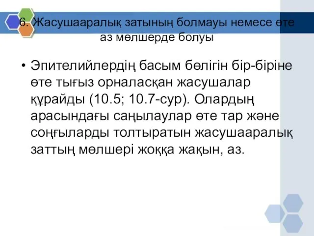 6. Жасушааралық затының болмауы немесе өте аз мөлшерде болуы Эпителийлердің