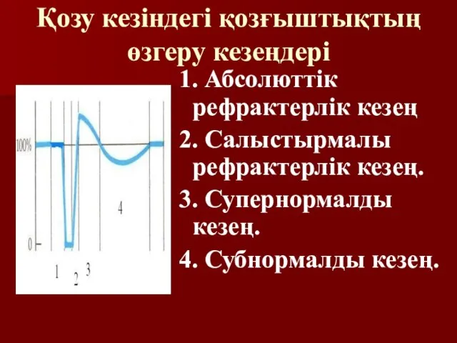 Қозу кезіндегі қозғыштықтың өзгеру кезеңдері 1. Абсолюттік рефрактерлік кезең 2.