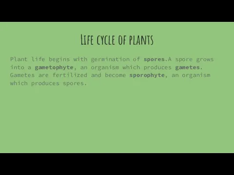Life cycle of plants Plant life begins with germination of