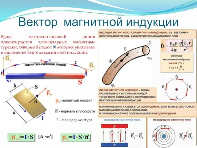 Вектор магнитной индукции Вдоль магнитно-силовой линии ориентируются элементарные магнитные стрелки,