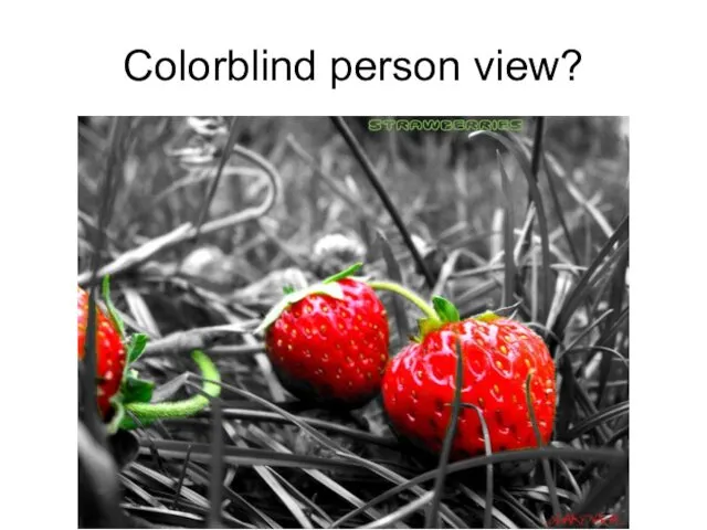 Colorblind person view?