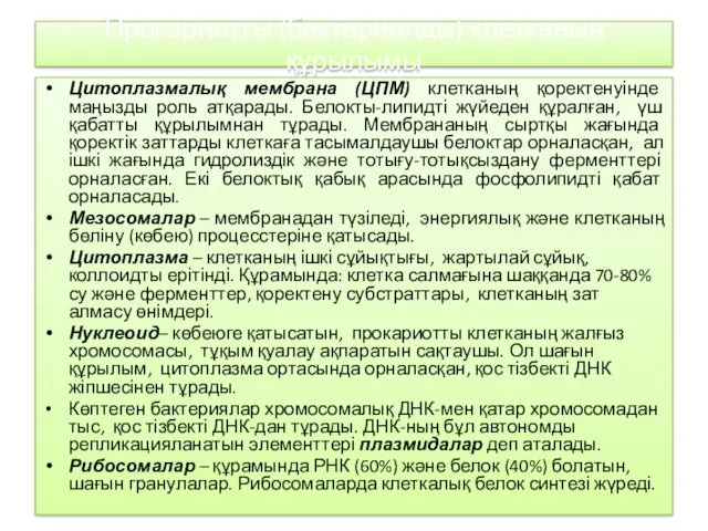 Прокариотты (бактериалды) клетканың құрылымы Цитоплазмалық мембрана (ЦПМ) клетканың қоректенуінде маңызды