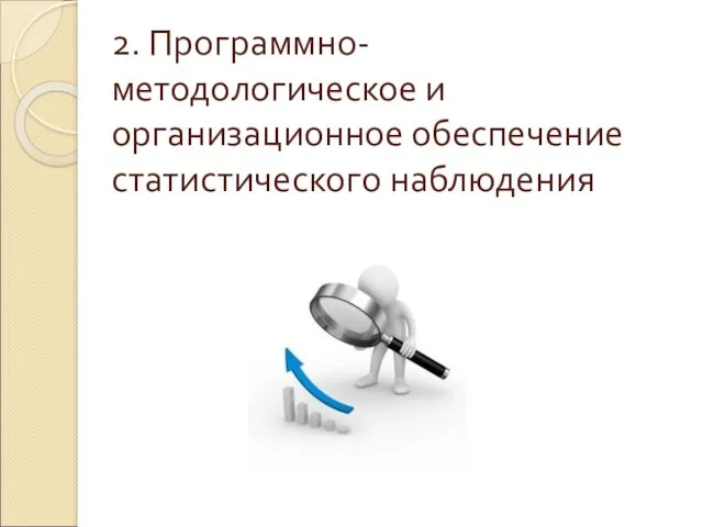 2. Программно-методологическое и организационное обеспечение статистического наблюдения