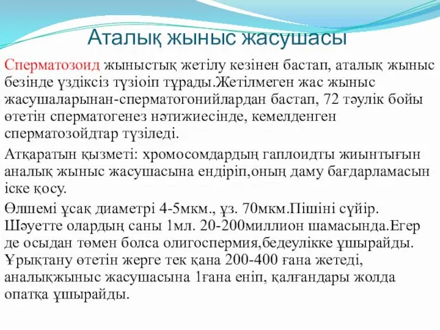 Аталық жыныс жасушасы Сперматозоид жыныстық жетілу кезінен бастап, аталық жыныс