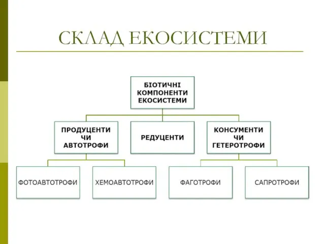 СКЛАД ЕКОСИСТЕМИ