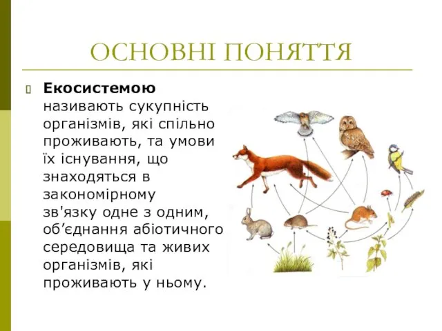 ОСНОВНІ ПОНЯТТЯ Екосистемою називають сукупність організмів, які спільно проживають, та