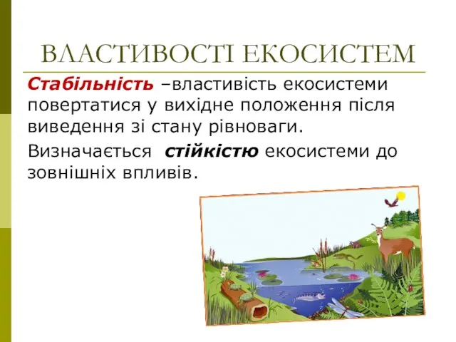 ВЛАСТИВОСТІ ЕКОСИСТЕМ Стабільність –властивість екосистеми повертатися у вихідне положення після