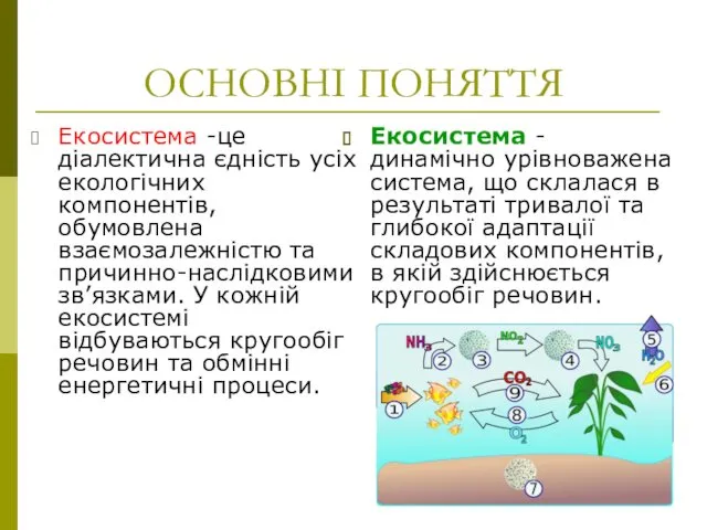 ОСНОВНІ ПОНЯТТЯ Екосистема -це діалектична єдність усіх екологічних компонентів, обумовлена