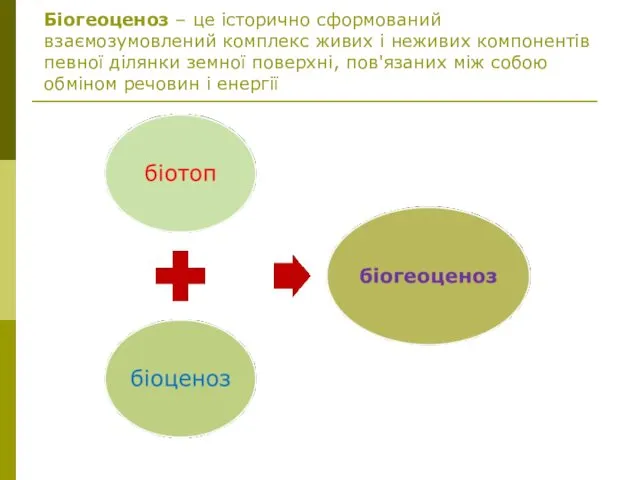 Біогеоценоз – це історично сформований взаємозумовлений комплекс живих і неживих