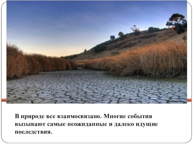 В природе все взаимосвязано. Многие события вызывают самые неожиданные и далеко идущие последствия.