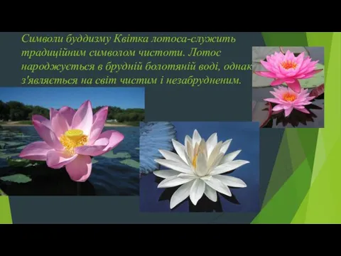 Символи буддизму Квітка лотоса-служить традиційним символом чистоти. Лотос народжується в