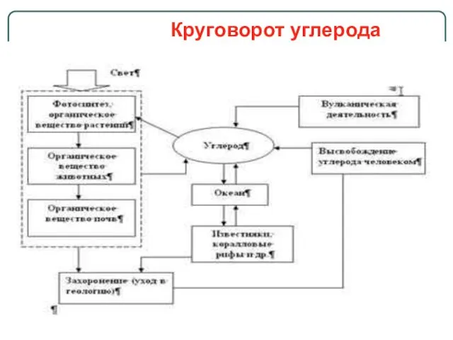 Круговорот углерода