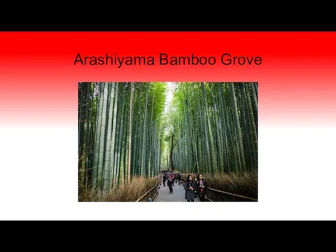 Arashiyama Bamboo Grove