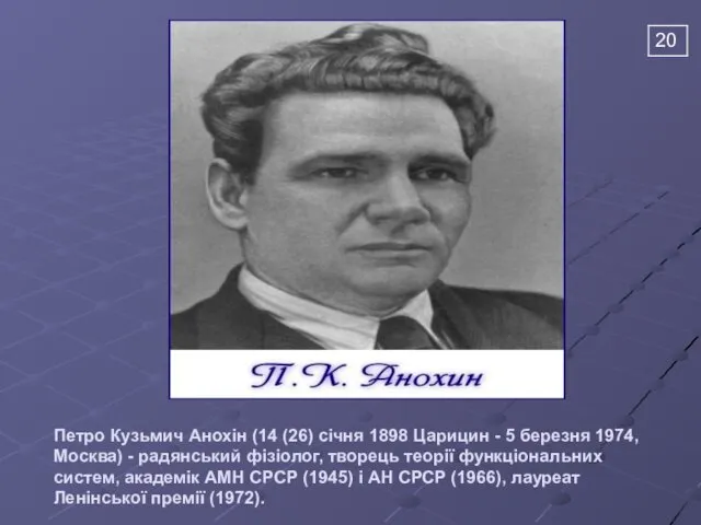 Петро Кузьмич Анохін (14 (26) січня 1898 Царицин - 5