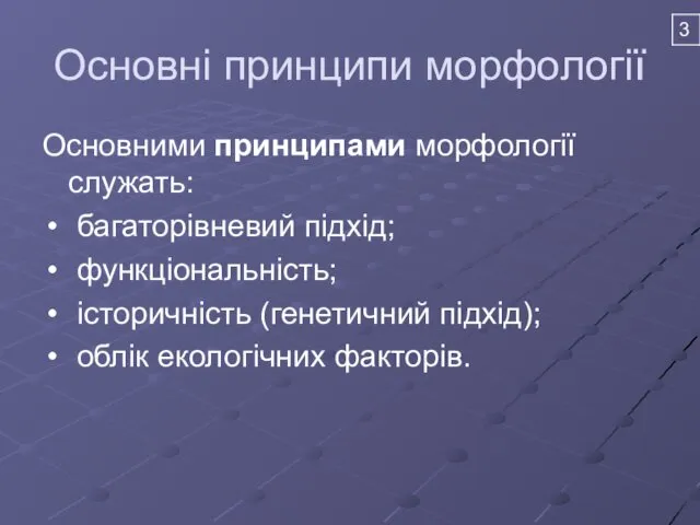 Основні принципи морфології Основними принципами морфології служать: багаторівневий підхід; функціональність; історичність (генетичний підхід); облік екологічних факторів.