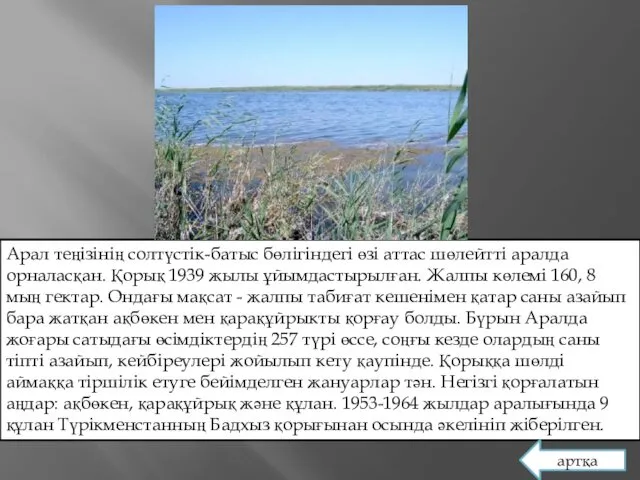 Арал теңізінің солтүстік-батыс бөлігіндегі өзі аттас шөлейтті аралда орналасқан. Қорық