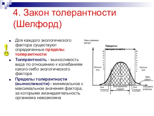 4. Закон толерантности (Шелфорд) Для каждого экологического фактора существуют определенные