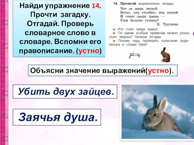 Найди упражнение 14. Прочти загадку. Отгадай. Проверь словарное слово в