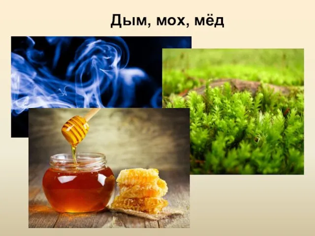 Дым, мох, мёд Ольга Панасенко