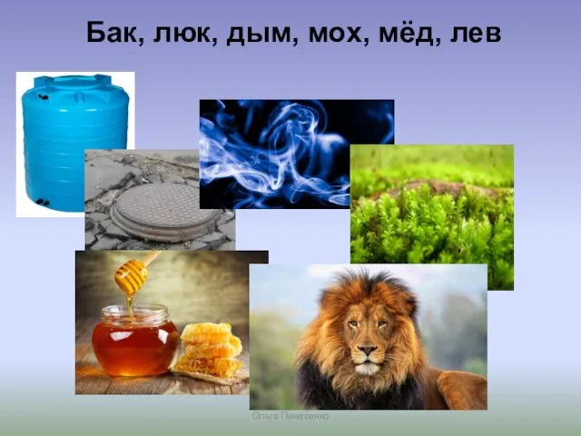 Бак, люк, дым, мох, мёд, лев Ольга Панасенко