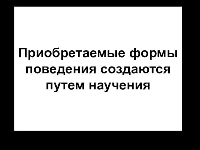 Приобретаемые формы поведения создаются путем научения