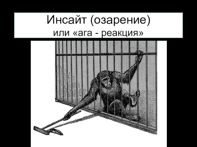 Инсайт (озарение) или «ага - реакция»