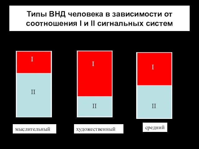 Типы ВНД человека в зависимости от соотношения I и II