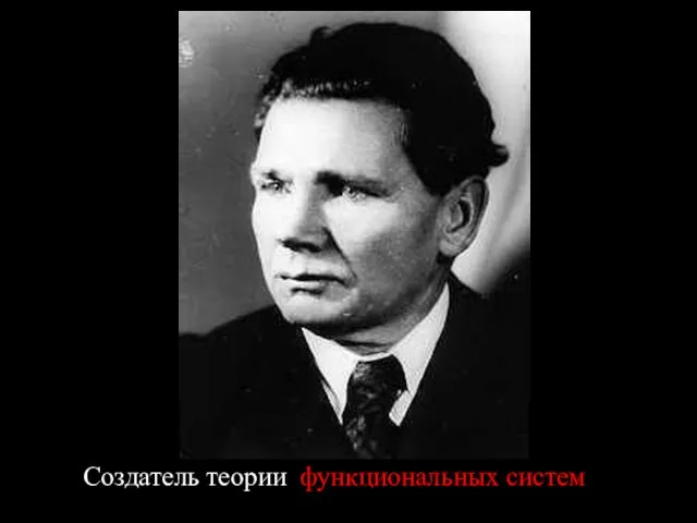 Пётр Кузьмич Анохин (1898 -1974) Создатель теории функциональных систем