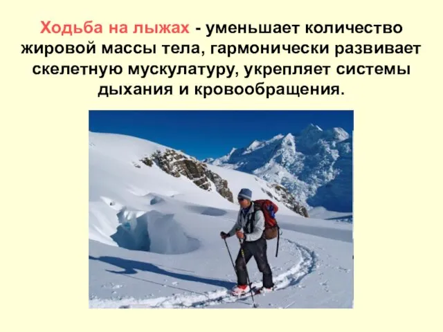 Ходьба на лыжах - уменьшает количество жировой массы тела, гармонически