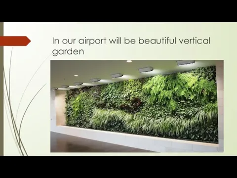 In our airport will be beautiful vertical garden
