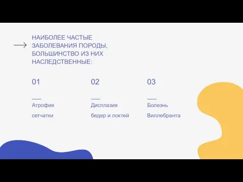 НАИБОЛЕЕ ЧАСТЫЕ ЗАБОЛЕВАНИЯ ПОРОДЫ, БОЛЬШИНСТВО ИЗ НИХ НАСЛЕДСТВЕННЫЕ: