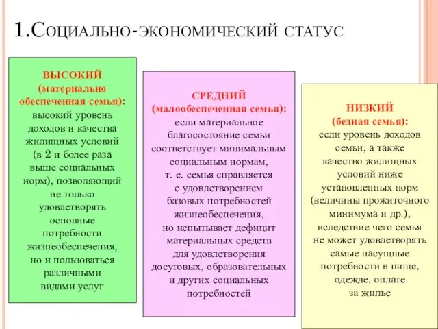 1.Социально-экономический статус ВЫСОКИЙ (материально обеспеченная семья): высокий уровень доходов и