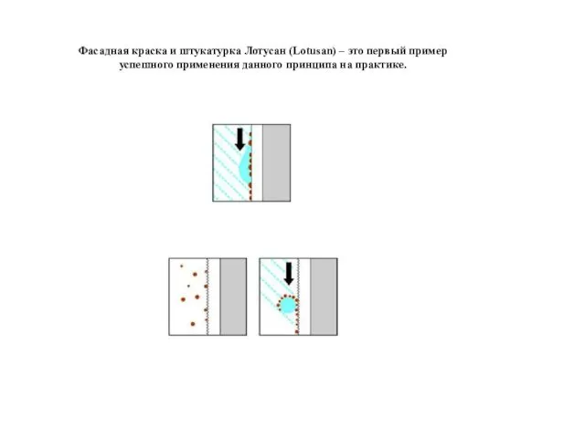 Фасадная краска и штукатурка Лотусан (Lotusan) – это первый пример успешного применения данного принципа на практике.