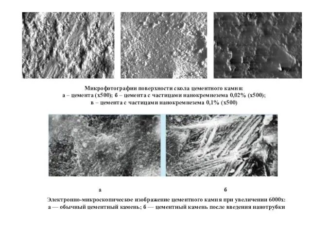 Микрофотографии поверхности скола цементного камня: а – цемента (х500); б