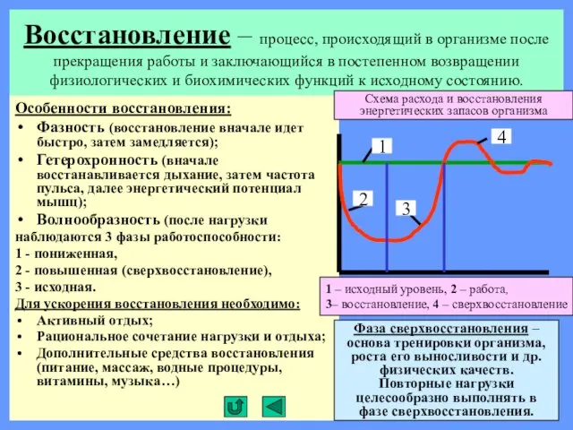 Восстановление – процесс, происходящий в организме после прекращения работы и