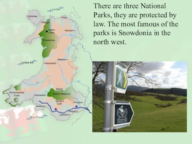 There are three National Parks, they are protected by law.