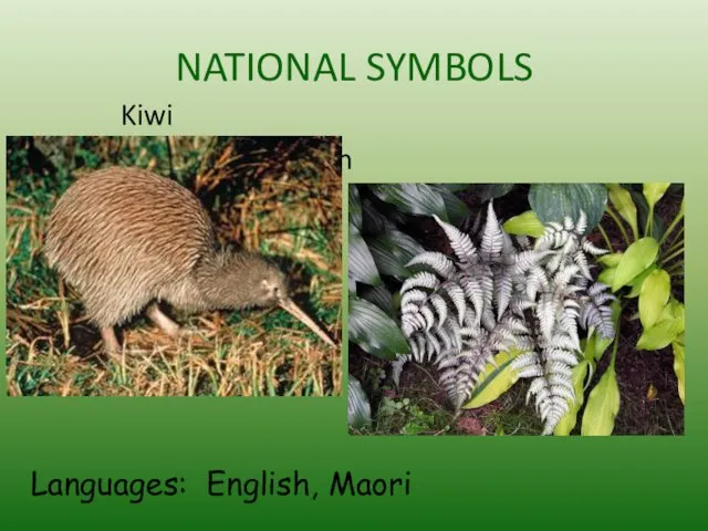 NATIONAL SYMBOLS Kiwi Silver Fern Languages: English, Maori