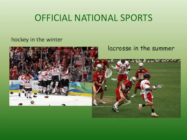 OFFICIAL NATIONAL SPORTS hockey in the winter lacrosse in the summer